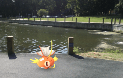 IMG_2016-07-12-16342897