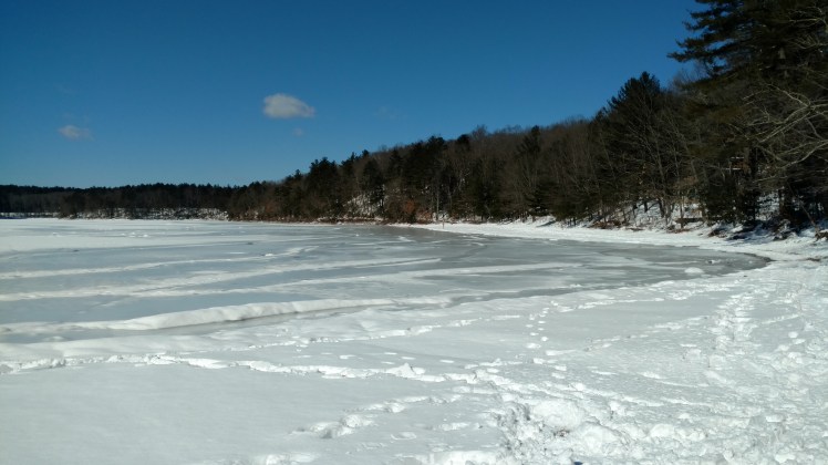 IMG_20190307_103554045