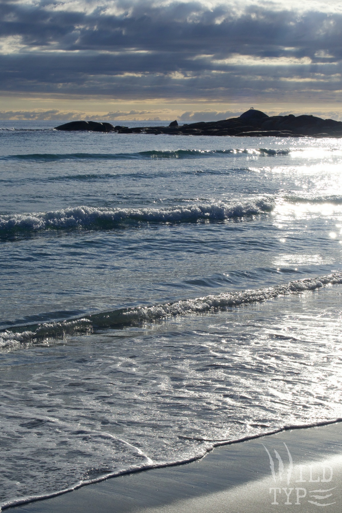 Morning sun sparkles on breakers as they lap a silvery beach. Beyond, two seagulls sit atop a rock on a silhouetted promontory. Purple-grey clouds mirror the lines of the waves.