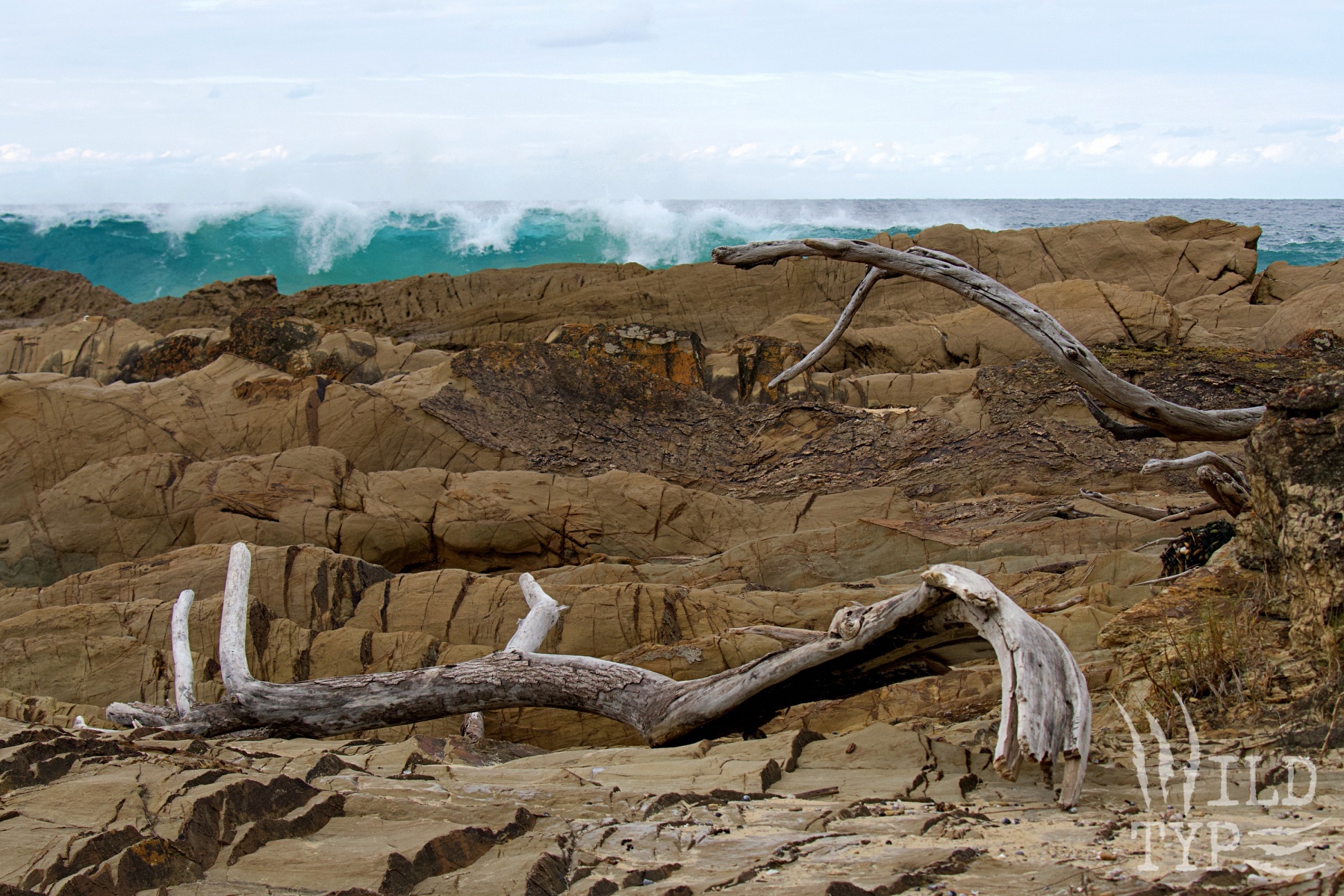Two driftwood logs lie twisted on rugged brown stone. A turquoise-blue ocean wave is just breaking over the top of the rocks, foam blending into the clouds behind it.
