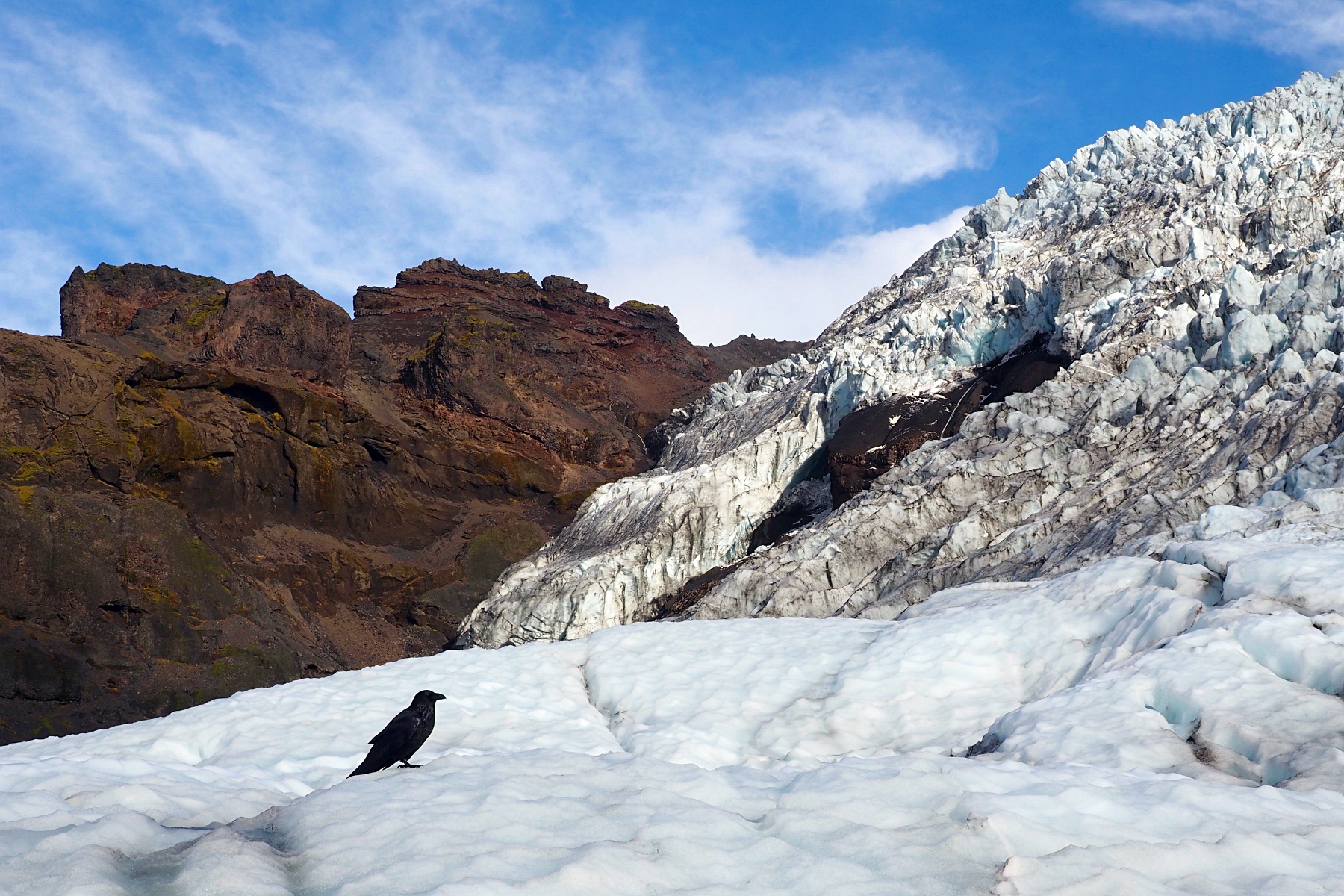 A raven perches on a low glacier ridge in the foreground. Behind, two rugged peaks--one of blue-tinted ice, one of brown stone--rise toward the blue sky.