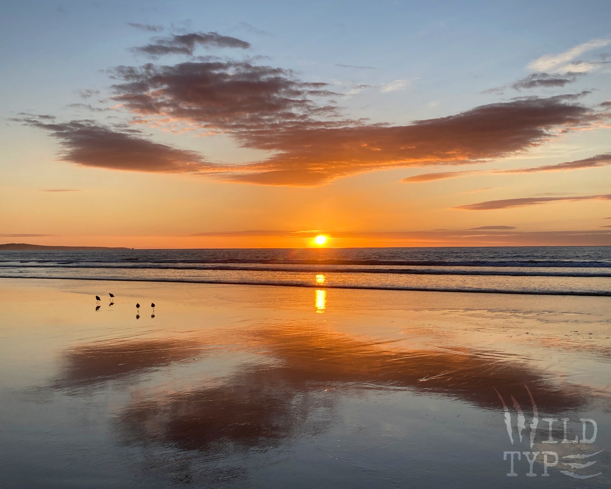 A molten sun peeks above the ocean horizon, turning the slick foreground beach into a mirror that reflects a blue and orange cloud formation. Four silhouetted shorebirds stand atop their own leggy shadows.