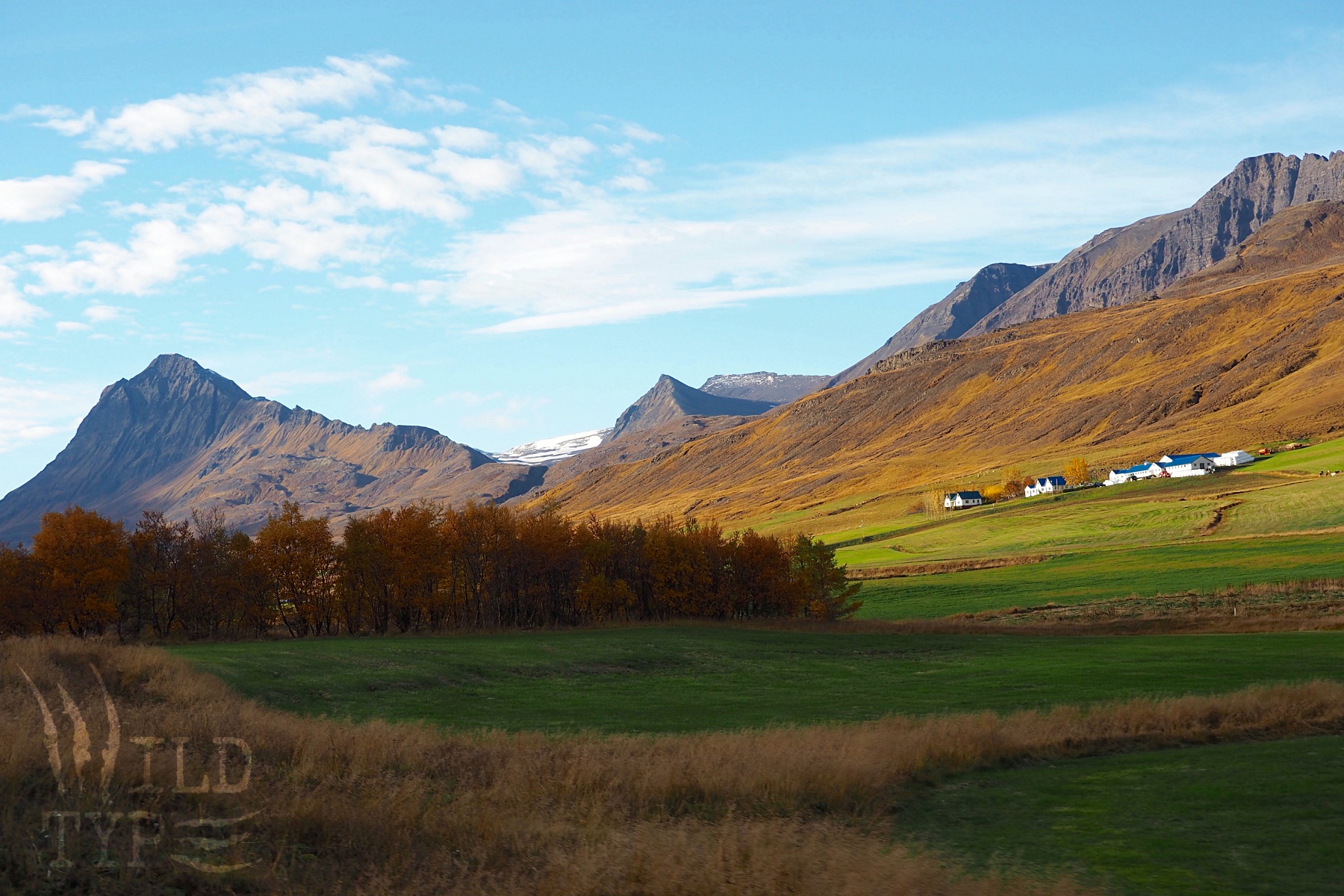 A distant cluster of white cottage-like buildings huddles in the ochre grass at the foot of a rocky mountain range. A copse of auburn trees stands below, while stripes of green and gold grass sweep into the foreground.