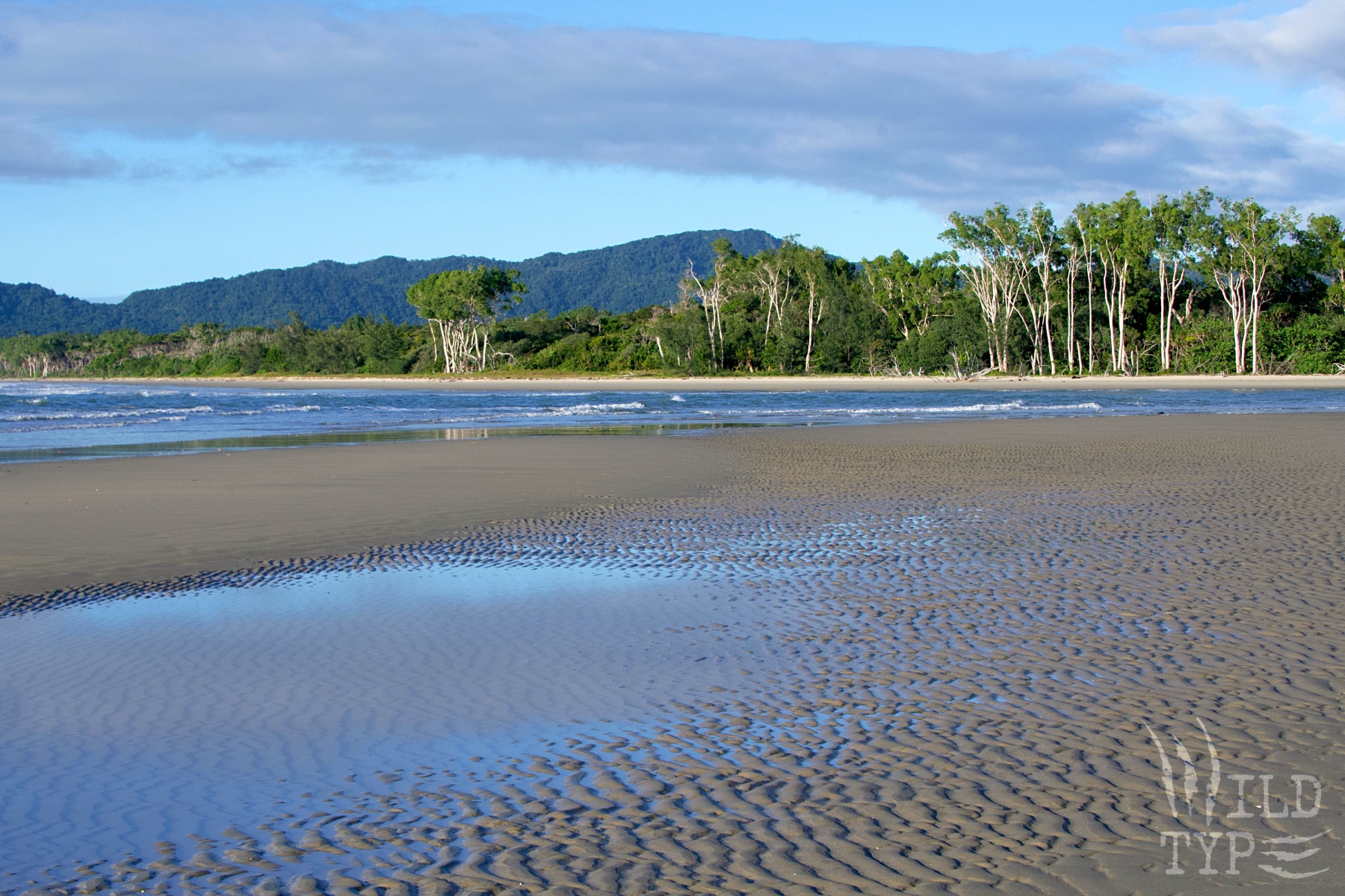 A jungle beach with lush mountains in the distance and white-trunked trees in the midground. Up close, the sand forms serpentine ridges; pooled water, reflecting the blue sky, turns the sand to a striated mirror.