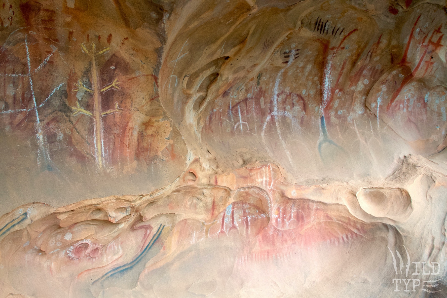 White, red, and ochre paintings in treelike shapes adorn a rippling sandstone wall.