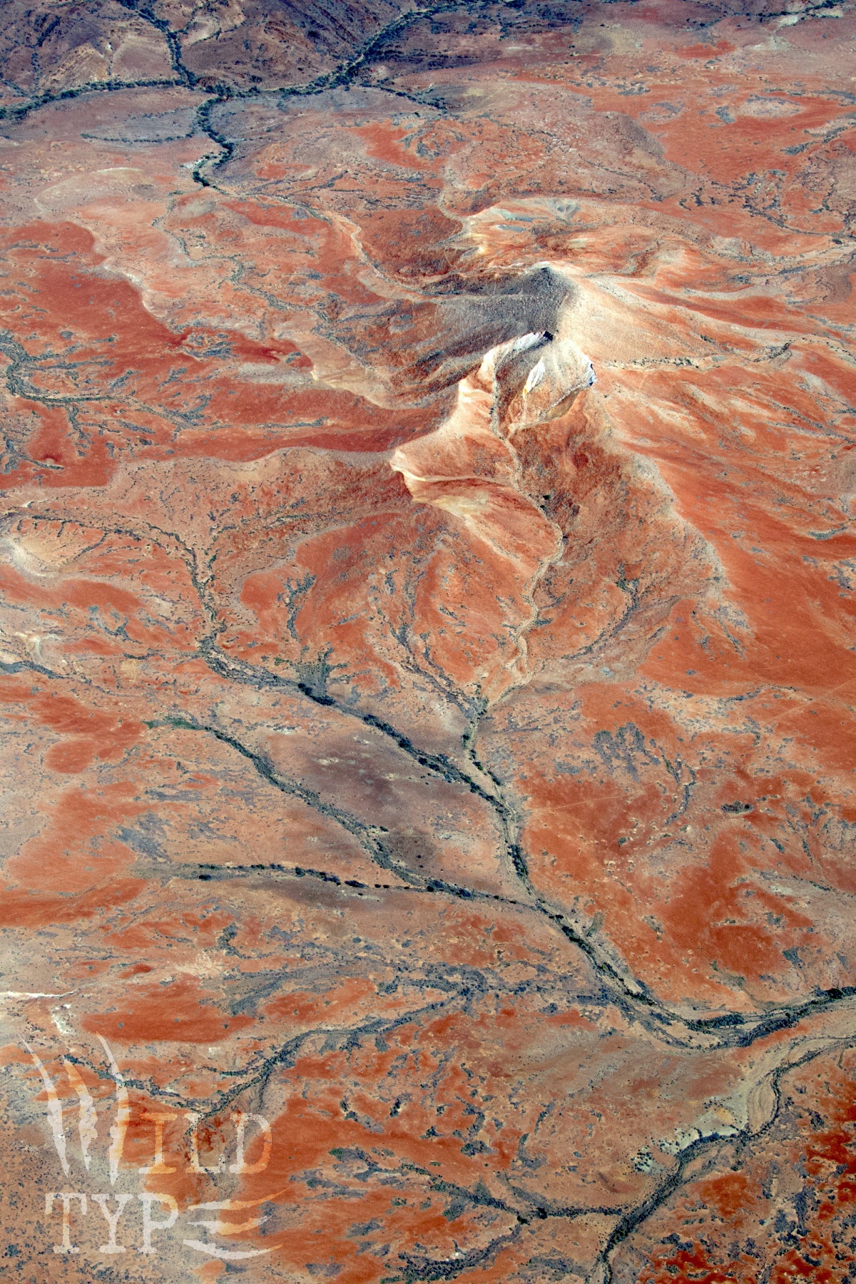 An aerial view of the South Australian outback. Black alluvial veins slither across red earth. Ridges and peaks of white rise up, giving the landscape a crumpled look.
